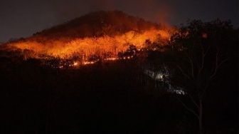 Gunung Gombak Membara 8 Jam: Api Nyaris Jilat Rumah Warga, 15 Hektar Ludes Jadi Abu