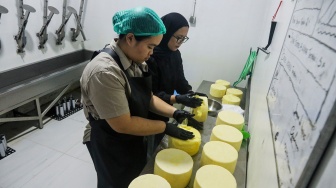Pekerja menyelesaikan proses pembuatan keju artisan di Mazaraat Artisan Cheese Factory, Cangkringan, Sleman, DI Yogyakarta, Selasa (14/7/2026). [ANTARA FOTO/Rahid Putra Laksana/agr]