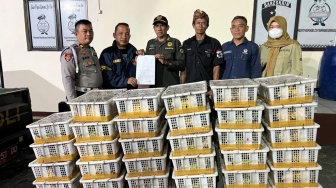 Penyelundupan 670 Burung Liar Digagalkan di Pelabuhan Bakauheni