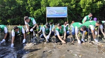 BAF Lanjutkan Gerakan Hijau, 20 Ribu Mangrove Ditanam di Jawa Tengah