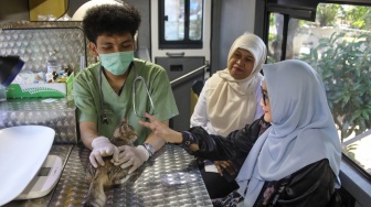 Klinik Hewan Keliling DKI Resmi Beroperasi, Warga Bisa Akses Layanan Mulai Rp35 Ribu