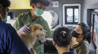 Petugas memeriksa kesehatan hewan peliharaan warga di mobil Klinik Hewan Keliling Jakarta, di Jakarta, Rabu (15/7/2026). [Suara.com/Alfian Winanto]