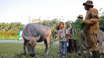 Belajar dari Alam, Puluhan Anak Desa Lemo Rasakan Serunya Menjadi Petani Sehari