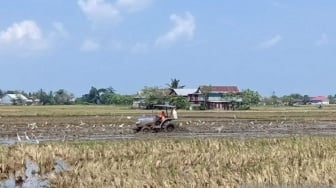 Sawah Sidrap Kekurangan Air, Mobil Tangki Dikerahkan