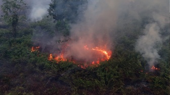 Foto udara api membakar semak belukar di kawasan lahan gambut Desa Cot Seumeureng, Kecamatan Samatiga, Aceh Barat, Aceh, Minggu (19/7/2026). [ANTARA FOTO/Syifa Yulinnas/wsj]