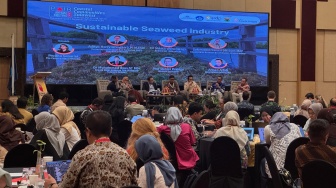 Mikroplastik Ancam Masa Depan Rumput Laut Indonesia