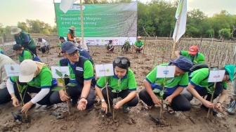 Jaga Sumber Air dari Hulu hingga ke Hilir, AMDATARA Tanam 250 Mangrove di Pesisir Jateng