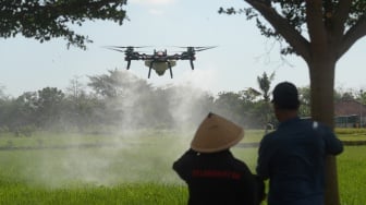 Lawan Hama Wereng, Petani Boyolali Andalkan Teknologi Drone