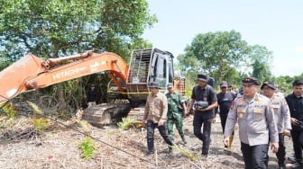 Ratusan Hektare Mangrove di Riau Habis Dibabat, Kapolda Turun Tangan