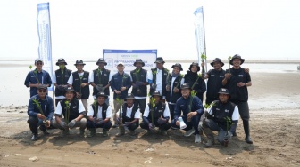 BRI Peduli Tanam 24.000 Mangrove untuk Pulihkan Pesisir di Jawa Barat