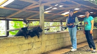 Menjangkau Pegunungan Toraja, Mantri BRI Layani Hingga Pelosok