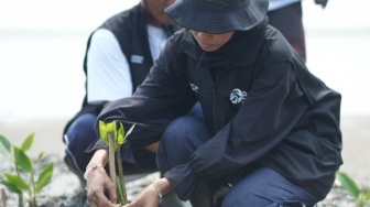 BRI Peduli Gandeng Petani Lokal di Jawa Barat untuk Tanam 24.000 Mangrove