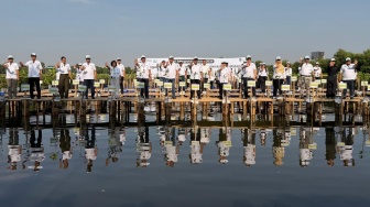 Rehabilitasi Mangrove Berkelanjutan, 21.060 Bibit Ditanam di Pesisir Jakarta