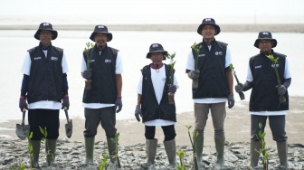 Hari Mangrove Sedunia, BRI Peduli Libatkan Kelompok Tani Lokal untuk Pulihkan Ekosistem Pesisir