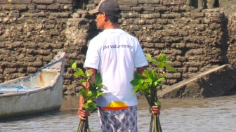Hari Mangrove Sedunia, BNI Perkuat Aksi Hijau di Pesisir