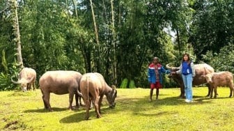 Mantri BRI, Garda Terdepan Layanan Perbankan di Toraja Utara
