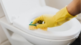 Berhenti Menggosok Dudukan Toilet Umum dengan Tisu, Ini Cara Membersihkan yang Benar