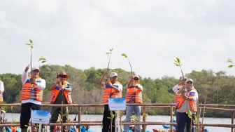 Peringatan Hari Mangrove Sedunia, 15 Ribu Bibit Pohon Disebar di Batu Lumbang Tahura Ngurah Rai