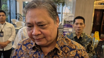 RI Lobi AS Agar Sawit Bebas Tarif Section 301, Airlangga: Kami Minta Dikecualikan