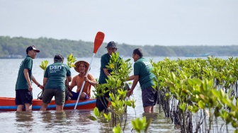 Jaga Ekosistem Pesisir, BSN Monitoring Ribuan Bibit Mangrove di Bali
