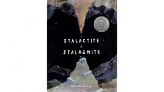 Stalactite & Stalagmite: Kisah Dua Batu Menyaksikan Kepunahan Dinosaurus, Berakhir Mengharukan