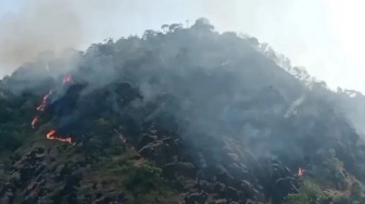 Dipicu Semak Kering dan Angin, Lahan Perbukitan Desa Pasirbaru Cisolok Hangus Terbakar