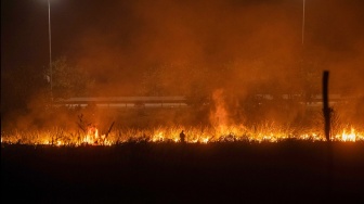 Petugas dari Manggala Agni Daops Sumatera XIV-Banyuasin berusaha memadamkan kebakaran lahan di sisi gerbang tol kramasan di Desa Ibul Besar I, Pemulutan, Ogan Ilir (OI), Sumatera Selatan, Minggu (26/7/2026). [ANTARA FOTO/Nova Wahyudi]