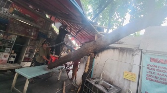 Pohon Besar Tiba-tiba Ambruk di Lokasi Kerusuhan Matraman, Timpa Tenda Pedagang
