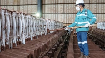 Profil Harita Nickel (NCKL): Pemilik, Kinerja Perusahaan dan Saham