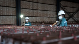 Pendapatan Harita Nickel (NCKL) Naik 21,2 Persen di Semester I 2026