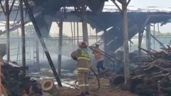 Kebakaran Hanguskan Kandang Berisi Puluhan Ribu Ayam di Magetan, Ini Kronologinya