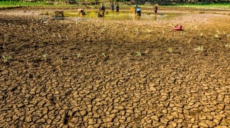 Kemarau Lumpuhkan 329 Telaga Air di Gunungkidul