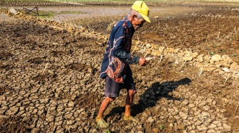 Warga berjalan di dasar Telaga Kedung Giriwungu yang mengering di Kapanewon Panggang, Kabupaten Gunungkidul, DI Yogyakarta, Selasa (28/7/2026). [ANTARA FOTO/Rahid Putra Laksana/agr/ky]