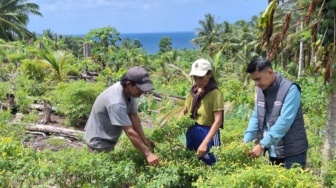 Mantri BRI Tempuh Perjalanan Antardesa untuk Dampingi UMKM di Kepulauan Talaud