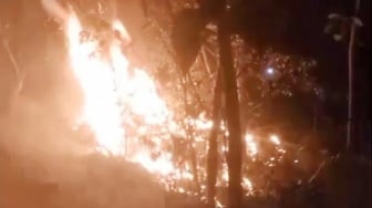 BPBD Pangandaran Waspadai Peningkatan Risiko Kebakaran Hutan Selama Musim Kemarau