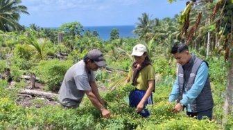 BRI Perkuat UMKM Kepulauan Talaud Lewat Dedikasi Mantri BRI