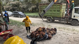 Lahan Bekas Karhutla Jadi Kebun Sawit, Indonesia Ternyata Rajin Ekspor Produknya ke Israel
