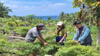 Dedikasi Mantri BRI di Kepulauan Talaud, Hadir Dampingi UMKM dan Perkuat Ekonomi Masyarakat
