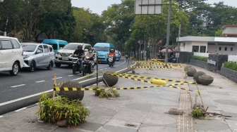 Bawa Kasus Penebangan Pohon ke Jalur Hukum, Farhan Siap Lapor Gubernur Jabar dan KLH