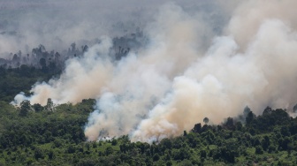 Foto udara asap membumbung tinggi dari kebakaran hutan dan lahan gambut di Kabupaten Ketapang, Kalimantan Barat, Jumat (31/7/2026). [ANTARA FOTO/Jessica Wuysang/YU]