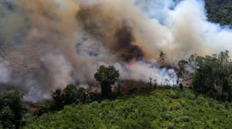 Karhutla Mengganas di Kalbar, Asap Tebal Selimuti Ketapang