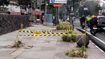 Penebangan Pohon di Jalan Riau Bandung Naik Kelas ke Pidana Berat, Gakkum KLH Turun Tangan