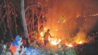 Kebakaran Hutan Hanguskan 4 Hektare Hutan Jati di Jalur Arak-Arak Situbondo