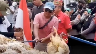Listrik Padam, Peternak Ayam Rugi Ratusan Juta, Kantor PLN Palangka Raya Disegel