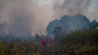 Petugas dari Manggala Agni Daops Sumatera XIV-Banyuasin berusaha memadamkan kebakaran lahan di Desa Arisan Jaya, Pemulutan Barat, Ogan Ilir (OI), Sumatera Selatan, Senin (3/8/2026). [ANTARA FOTO/Nova Wahyudi/wsj]