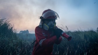Petugas dari Manggala Agni Daops Sumatera XIV-Banyuasin menarik selang air untuk memadamkan kebakaran lahan di Desa Arisan Jaya, Pemulutan Barat, Ogan Ilir (OI), Sumatera Selatan, Senin (3/8/2026). [ANTARA FOTO/Nova Wahyudi/wsj]