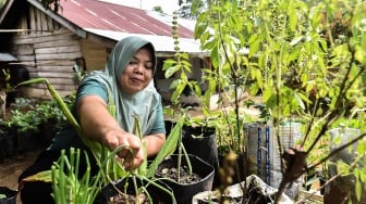 17 Tahun Menunggu, Transmigran di Kerinci Masih Hidup Tanpa Listrik