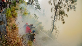 Sejumlah petugas berupaya memadamkan kebakaran hutan di Blok Bantengan, kawasan Taman Nasional Bromo Tengger Semeru (TNBTS), Kabupaten Probolinggo, Jawa Timur, Selasa (4/8/2026). [ANTARA FOTO/Irfan Sumanjaya/tom]