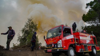 Sejumlah petugas berupaya memadamkan kebakaran hutan di Blok Bantengan, kawasan Taman Nasional Bromo Tengger Semeru (TNBTS), Kabupaten Probolinggo, Jawa Timur, Selasa (4/8/2026). [ANTARA FOTO/Irfan Sumanjaya/tom]