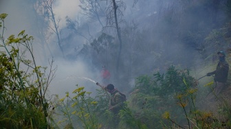 Sejumlah petugas berupaya memadamkan kebakaran hutan di Blok Bantengan, kawasan Taman Nasional Bromo Tengger Semeru (TNBTS), Kabupaten Probolinggo, Jawa Timur, Selasa (4/8/2026). [ANTARA FOTO/Irfan Sumanjaya/tom]